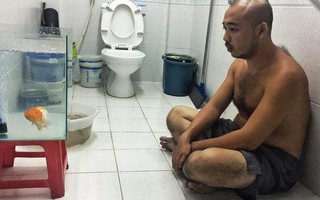 Anh chồng ngồi thẫn thờ ngắm bể cá trong nhà vệ sinh vì vợ không cho nuôi và câu chuyện phía sau khiến nhiều người bất ngờ