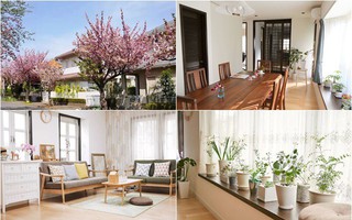 Ngôi nhà nhỏ lãng mạn của đôi vợ chồng trẻ từ bỏ cuộc sống ở Tokyo, Nhật Bản để về ngoại ô sinh sống