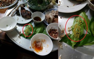 Ăn xong bữa cơm ngon nhìn thấy cảnh tượng này, chàng trai sợ hãi kể khổ còn dân mạng lại thấy "có gì sai sai"
