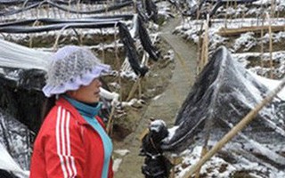 Mùa đông 2018 đến sớm và rét đậm, rét hại sẽ nhiều hơn ​