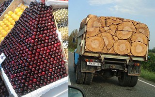 Khi bạn có một nhân viên quá cầu toàn thì hãy sẵn sàng để đón nhận các "tác phẩm nghệ thuật" mãn nhãn đến thế này đây