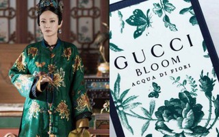 Giả dụ dàn phi tần "Diên Hi Công Lược" mà được mời làm KOL nước hoa, họ sẽ hợp với sản phẩm nào nhỉ?