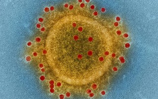 Virus "tử thần" MERS-CoV xuất hiện trở lại tại Hàn Quốc