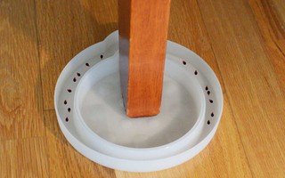 Top 4 loại bẫy diệt bọ rệp, côn trùng đáng ghét ẩn nấp trên giường nệm