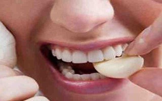 Ăn tỏi giúp phòng chống bệnh xơ nang