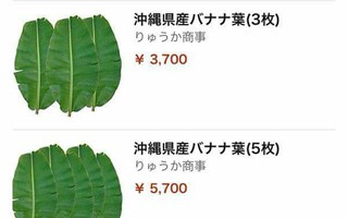 Lá chuối tươi đăng bán trên Amazon gần 500 nghìn 1 lá, mua 5 lá giảm giá còn 1 triệu 2