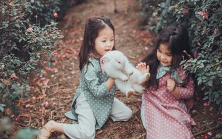 Cô bé sợ chó tái xuất trong bộ ảnh mới: Chụp ảnh với thỏ nhưng chỉ dám nhìn!