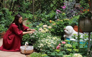Khu vườn rực rỡ như xứ sở thần tiên của cô gái xinh đẹp với đủ loại hoa khoe sắc