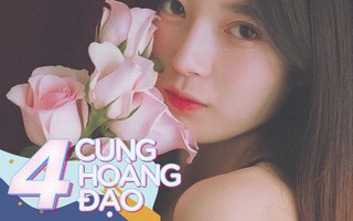 Năm mới 2019, 4 cung Hoàng đạo sau thành công vượt mong đợi, tình tiền sự nghiệp cái gì cũng viên mãn trọn vẹn