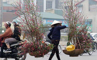 Miền Bắc đón đợt rét mới cận ngày ông Công ông Táo, vùng núi cao dưới 12 độ