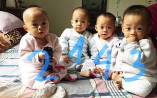 Mẹ trẻ đánh cược mạng sống sinh tứ thai đón mùa xuân đầu tiên bên các con: “Tết của em dựa hết vào chồng”