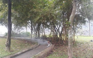 Hà Nội: Phát hiện thi thể nữ giới nằm sấp, không mặc quần trong công viên
