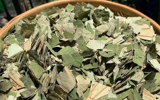 Loại lá mọc tràn ao bùn Việt Nam, 400 ngàn/kg, chị em ưa dùng để giữ eo