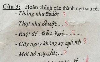 Cười ra nước mắt với loạt bài điền thành ngữ của học sinh: "Môi hở... há miệng"