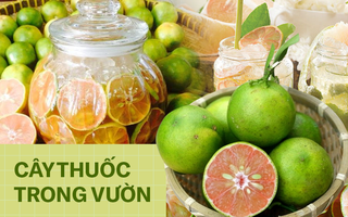Trời lạnh rồi, mỗi nhà nên có sẵn một lọ chanh đào, từ giờ đến cuối năm sợ gì ho, viêm họng làm phiền!
