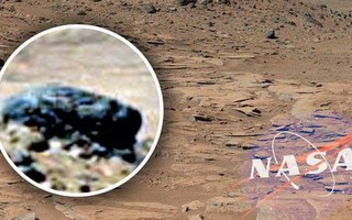 Cựu chuyên gia NASA khẳng định: Chúng ta đã tìm được bằng chứng về sự sống trên sao Hỏa