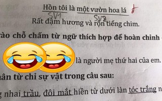 Cô giáo ra câu hỏi “Người mẹ thứ hai của em là ai”, học sinh cấp 1 đưa ra đáp án khiến ai cũng cười bò 