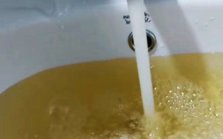 TP.HCM: Phản ánh bức xúc nước sinh hoạt vàng đục, có côn trùng lạ... cư dân bị quản lý chung cư làm khó?