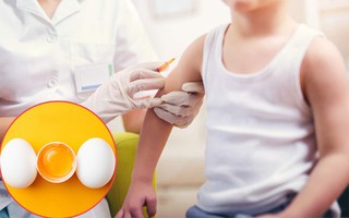 Điều cần biết trong mùa cúm: Những người dị ứng với trứng có thể tiêm phòng cúm hay không?