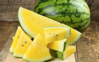 Giá thành giảm một nửa so với năm ngoái, nhiều người tiêu dùng chuyển sang ăn dưa hấu ruột vàng vì thích vẻ ngoài mới lạ 