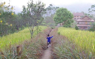 Cuối tuần không biết đưa con đi chơi ở đâu, cha mẹ hãy tham khảo ngay địa điểm "ngon-bổ-rẻ" cách Hà Nội chỉ 3 tiếng lái xe