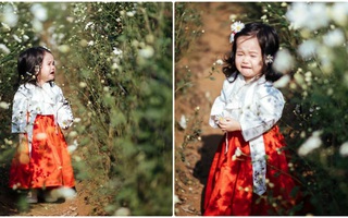 Dẫn con gái đi chụp ảnh cúc họa mi, ai ngờ lại được bộ ảnh "họa mi khóc trong nắng"