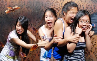 Khảo sát mới cho thấy người Singapore sợ gián hơn cả sợ chết