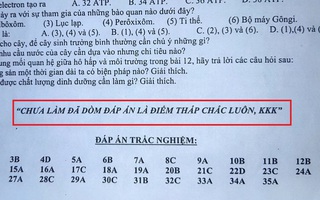 Đề cương ôn tập được đính kèm cả đáp án, nhưng chỉ với 1 câu nói bá đạo của cô giáo không học sinh nào dám ngó