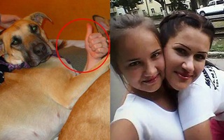 Đố ai có đôi mắt tinh tường có thể nhìn những bức ảnh "hại não" này chỉ một lần mà không hoang mang