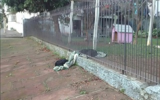 Thấy một chú chó đi lạc và ngủ ngoài đường giữa đêm đông lạnh lẽo, "boss" liền kéo chăn qua hàng rào chia sẻ với bạn