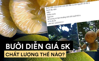 Giật mình bưởi Diễn chỉ có giá 5.000 đồng/quả được bán tràn lan trên thị trường, người tiêu dùng cần tỉnh táo dịp sát Tết