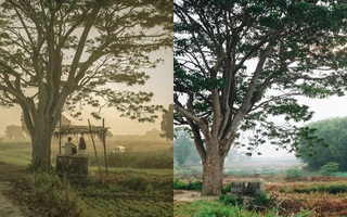 So sánh những cảnh quay điển hình của “Mắt Biếc” trong phim và ngoài đời thực
