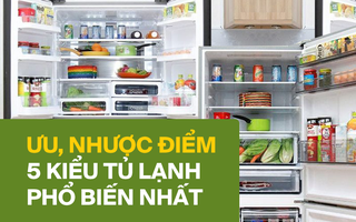 Kinh nghiệm chọn mua tủ lạnh theo ưu, nhược điểm: Mỗi loại một kiểu, phải tìm hiểu mới mong lựa được cái ưng ý nhất