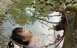 Ngắm bức ảnh cô bé tóc đuôi gà há miệng chờ sung suốt 15 phút vì tin lời chị, đảm bảo mẹ nào cũng tan chảy