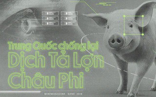 Trung Quốc chống lại dịch tả lợn châu Phi bằng công nghệ nhận diện mặt lợn như thế nào?