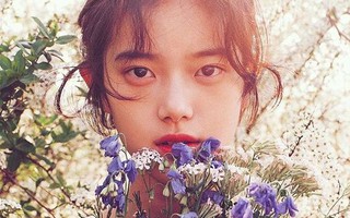 Những người sinh ngày âm lịch sau không chỉ tạo dựng cho mình cơ ngơi đồ sộ mà còn khiến gia đạo ngày càng hưng thịnh, phát tài