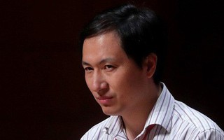 Cố tình tạo ra em bé từ thai nhi sửa đổi gen là 'vô trách nhiệm'