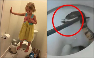 Nhấc con gái 5 tuổi đang ngồi trên bồn cầu trong nhà vệ sinh công cộng, bà mẹ thất kinh la hét vì nhìn thấy thứ nguy hiểm chết người bên dưới