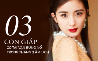 Bước qua tháng 3 âm lịch, 3 con giáp này được quý nhân soi sáng, làm tới đâu thành công tới đó, tiền tài và vận may bùng nổ
