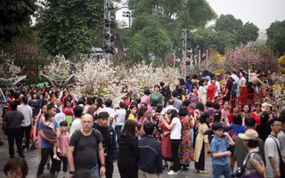 Hà Nội: Biển người mướt mồ hôi, trẻ con mệt mỏi theo bố mẹ chen vào chụp ảnh ở lễ hội hoa anh đào
