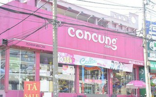 Vây bắt đối tượng đột nhập cửa hàng Con Cưng trộm két sắt ở Sài Gòn