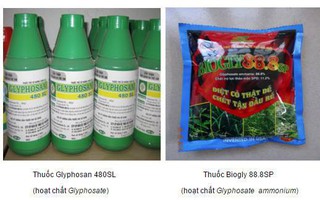 Chính thức loại bỏ thuốc bảo vệ thực vật chứa chất gây ung thư tại Việt Nam