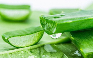 10 loại rau củ giúp trị mụn