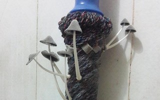 Để nấm mọc đầy trên chổi lau sàn, gia chủ bị dân mạng hỏi khó: "Nhà này bao lâu chưa lau?"