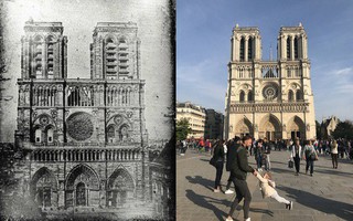 Cư dân mạng truy tìm 'hai cha con' chụp ảnh trước Nhà thờ Đức Bà Paris ngay trước vụ cháy