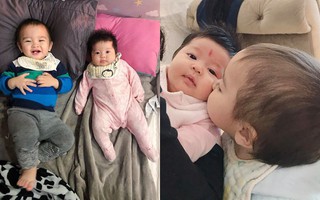 Mới 1 tuổi rưỡi, "Sữa Chủ tịch" nhà Hằng Túi đã ra dáng anh, biết thương và chăm em lắm rồi đây này