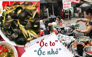 Dù đi đâu về đâu, mùa đông hay mùa hạ, vẫn “thầm thương trộm nhớ” nhất là bát ốc luộc vỉa hè Hà Nội