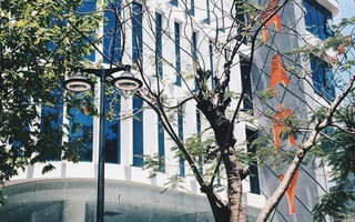 Một trường Đại học ở Việt Nam lọt top 200 trường ảnh hưởng nhất đến sự phát triển Kinh tế-Xã hội của thế giới