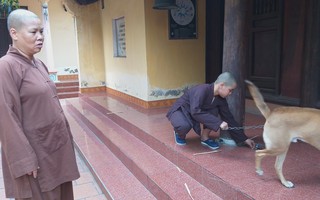 Sự thật những đứa trẻ cần được giải thoát vì bị sư trụ trì hành hạ, đánh đập tàn bạo mỗi tối ở Hà Nội