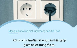 Nắng nóng 40 độ, nhà vẫn mát rượi không cần điều hòa nếu biết 8 mẹo thông minh này